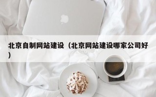 保亭北京自制网站建设（北京网站建设哪家公司好）